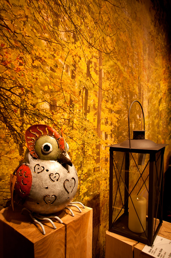 como se realiza el fengshui